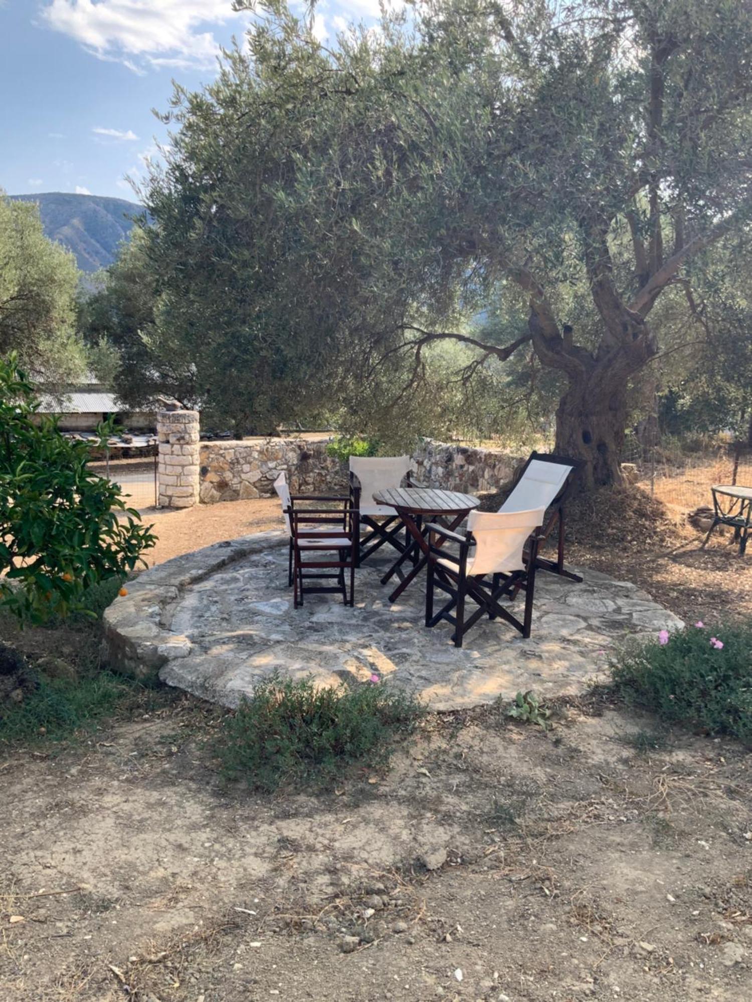 איגומניטסה Villa Gloria Plataria מראה חיצוני תמונה